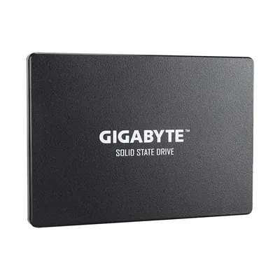 Gigabyte Твердотельный накопитель внутренний Gigabyte GP-GSTFS31100TNTD