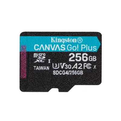 Kingston Карта памяти Kingston SDCG4/256GBSP Canvas Go Plus A2 U3 V30 256GB