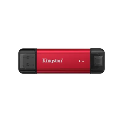 Kingston Внешний SSD диск Kingston 1TB Dual Portable Красный