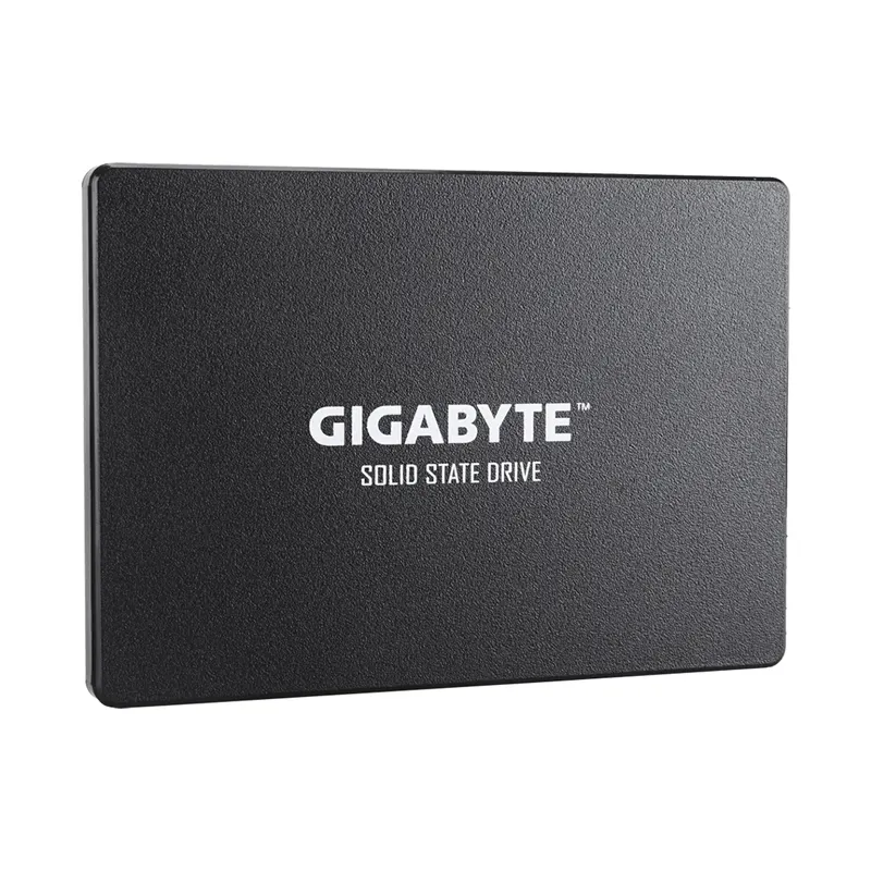 Gigabyte Твердотельный накопитель внутренний Gigabyte GP-GSTFS31100TNTD