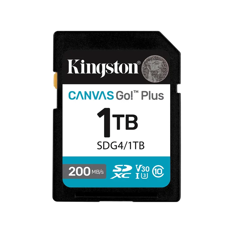 Kingston Карта памяти Kingston SDG4/1TB Canvas Go Plus Gen4 C10 UHS-I U3 V30 1TB
