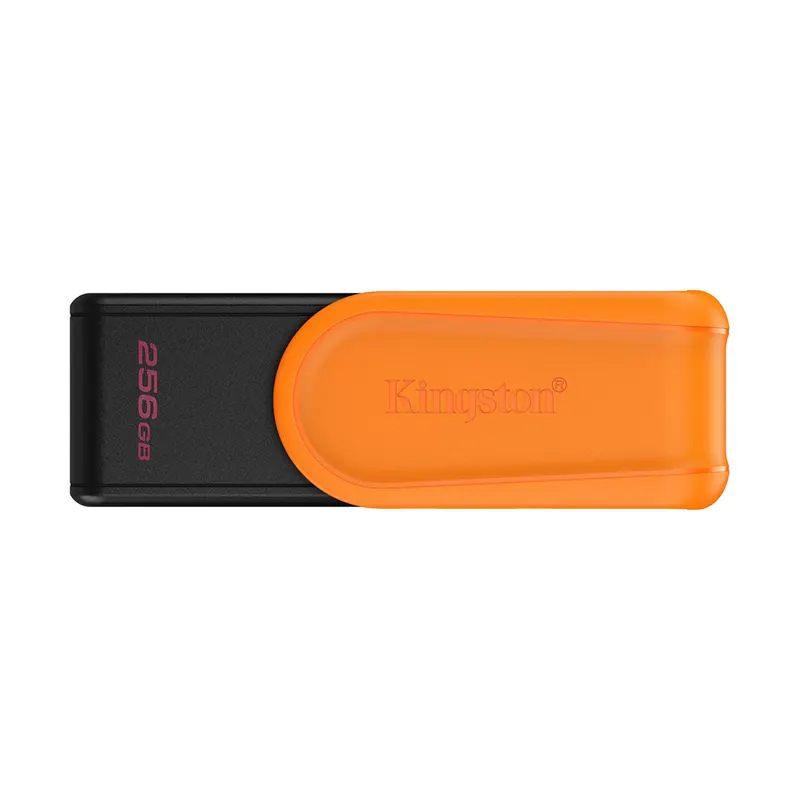 Kingston USB-накопитель Kingston DTXS/256GB 256GB