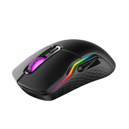 Компьютерная мышь беспроводная Rapoo VT200 (19218), LED подсветка